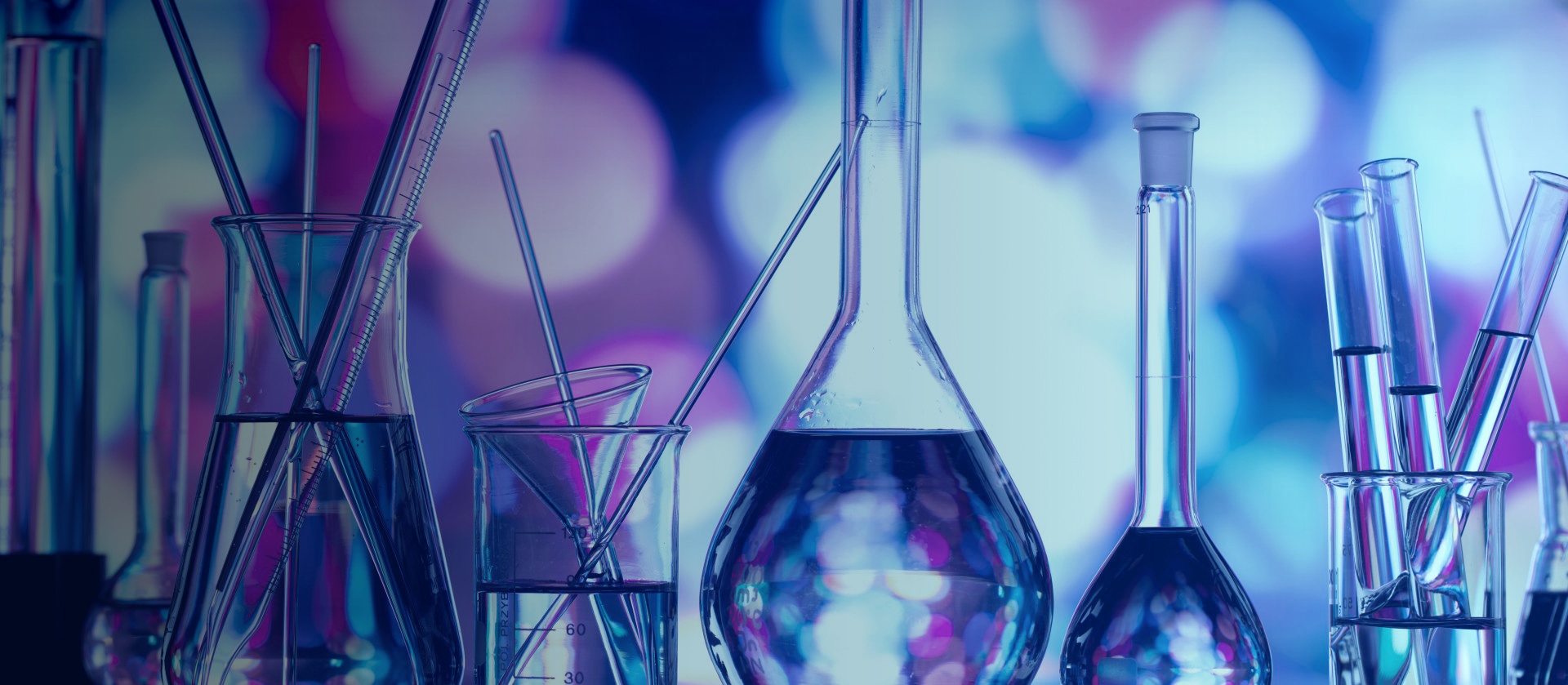 xpj(中国区)官方网站